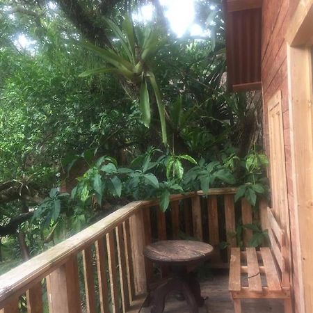 Villa Ecoturistica La Huerta De Xilitla Buitenkant foto